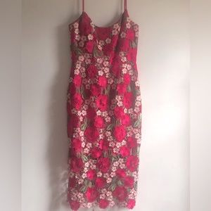 Dress the Population Pink Dress